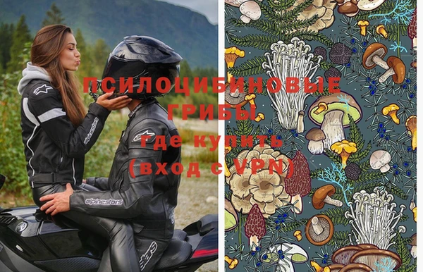ECSTASY Покров