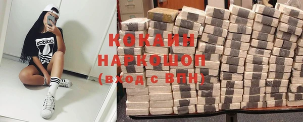 индика Покровск