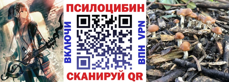 Псилоцибиновые грибы MAGIC MUSHROOMS Болотное